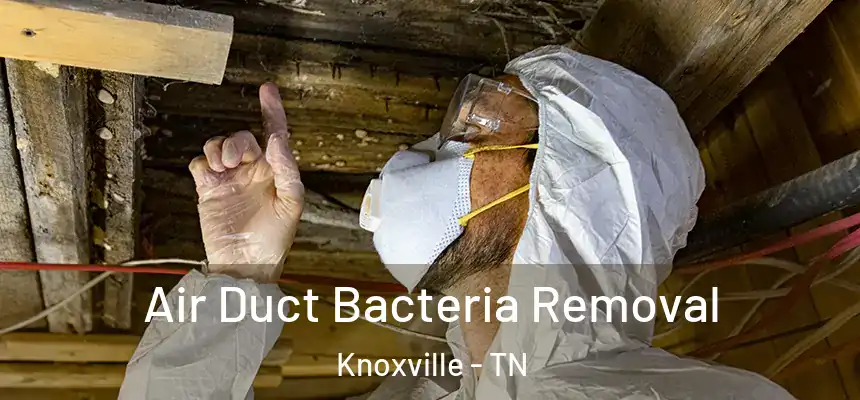 Air Duct Bacteria Removal Knoxville - TN