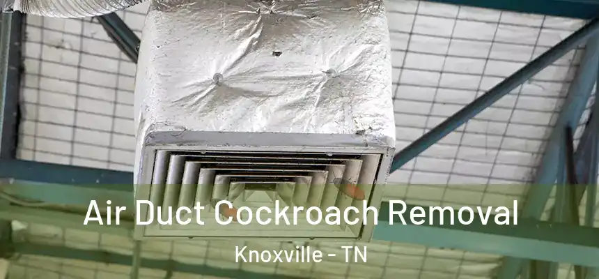 Air Duct Cockroach Removal Knoxville - TN