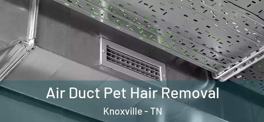  Air Duct Pet Hair Removal Knoxville - TN