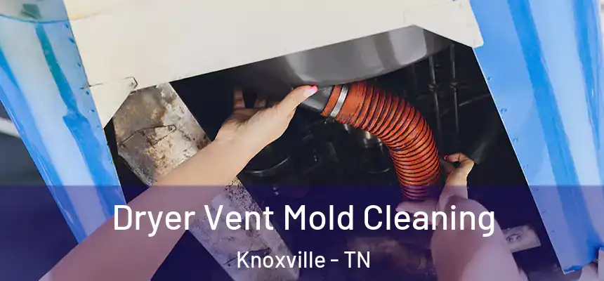 Dryer Vent Mold Cleaning Knoxville - TN