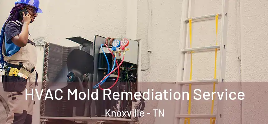 HVAC Mold Remediation Service Knoxville - TN