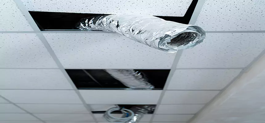 Affordable HVAC Sanitizing After Pest Removal in Knoxville