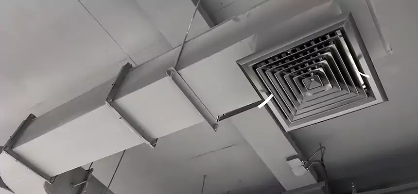 Restorative Allergy Relief Vent Cleaning – Coil, Blower & Housing Detail in Knoxville