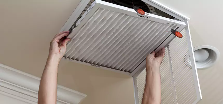 Our Insect Removal from Air Ducts Services in Knoxville, TN