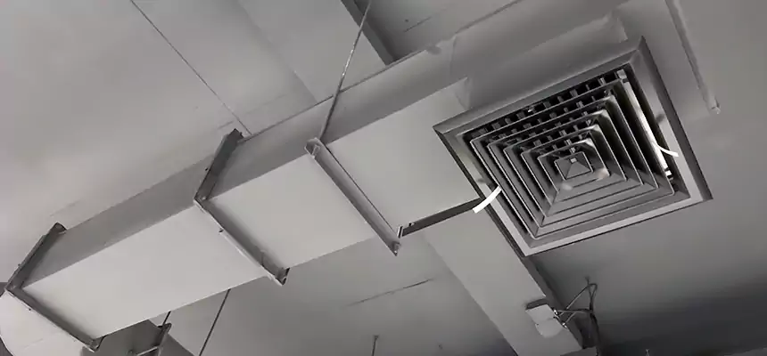 Our Pest Removal From Ducts Services in Knoxville, TN