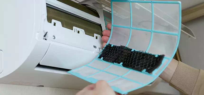 Gentle Ductwork Odor-Control Pet Dander Duct Cleaning in Knoxville, TN