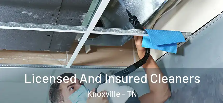 Licensed And Insured Cleaners Knoxville - TN