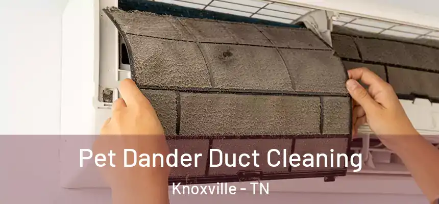 Pet Dander Duct Cleaning Knoxville - TN