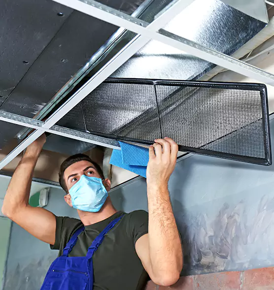 About Air Duct Bacteria Removal in Knoxville