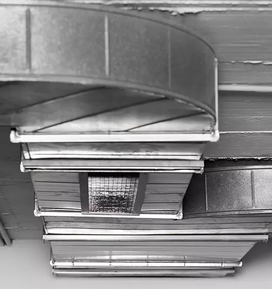 Professional Air Duct Pet Hair Removal in Knoxville, TN