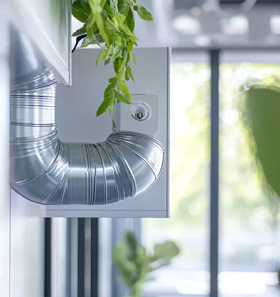 Professional Eco-Safe Dryer Vent Cleaning in Knoxville, TN