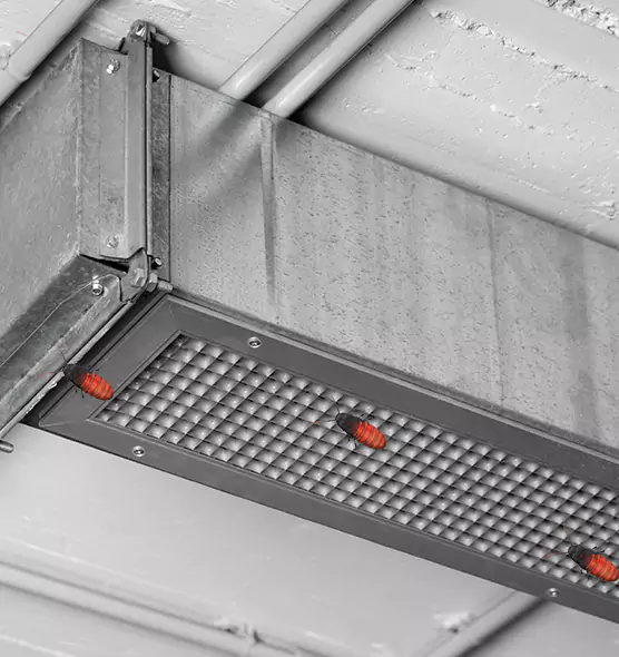 Affordable Insect Removal from Air Ducts in Knoxville, TN