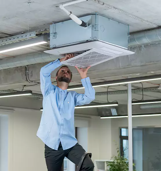 Advanced Rodent Droppings In Vents in Knoxville, TN