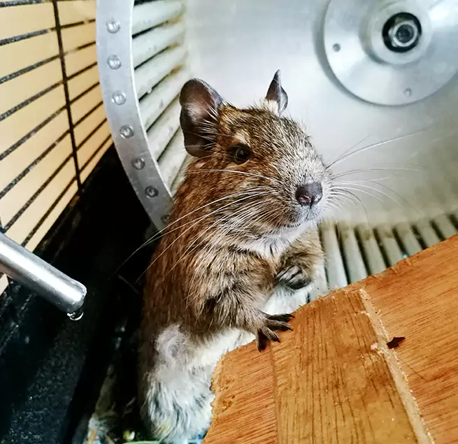 Why Homeowners & Businesses Trust Us Knoxville, TN?