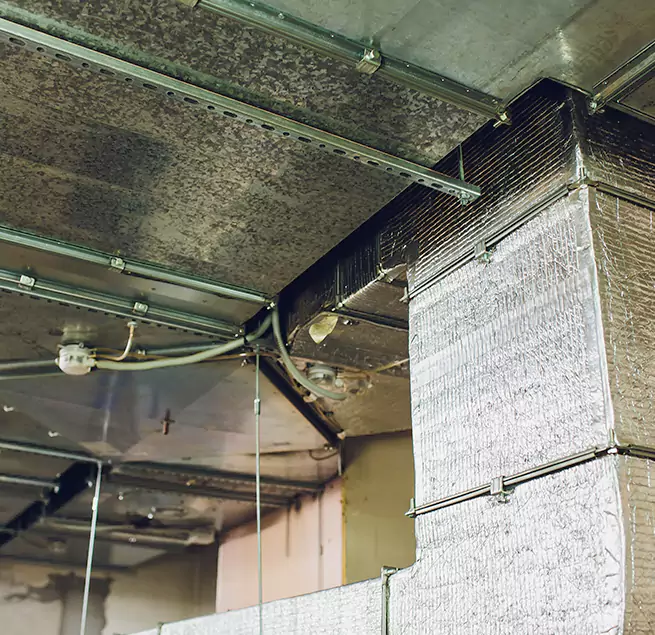 Why Homeowners & Businesses Trust Us in Knoxville, TN?